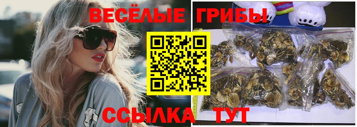 купить наркоту  Псилоцибиновые грибы мицелий  Вход с VPN  Псилоцибиновые грибы Cubensis  Протвино 